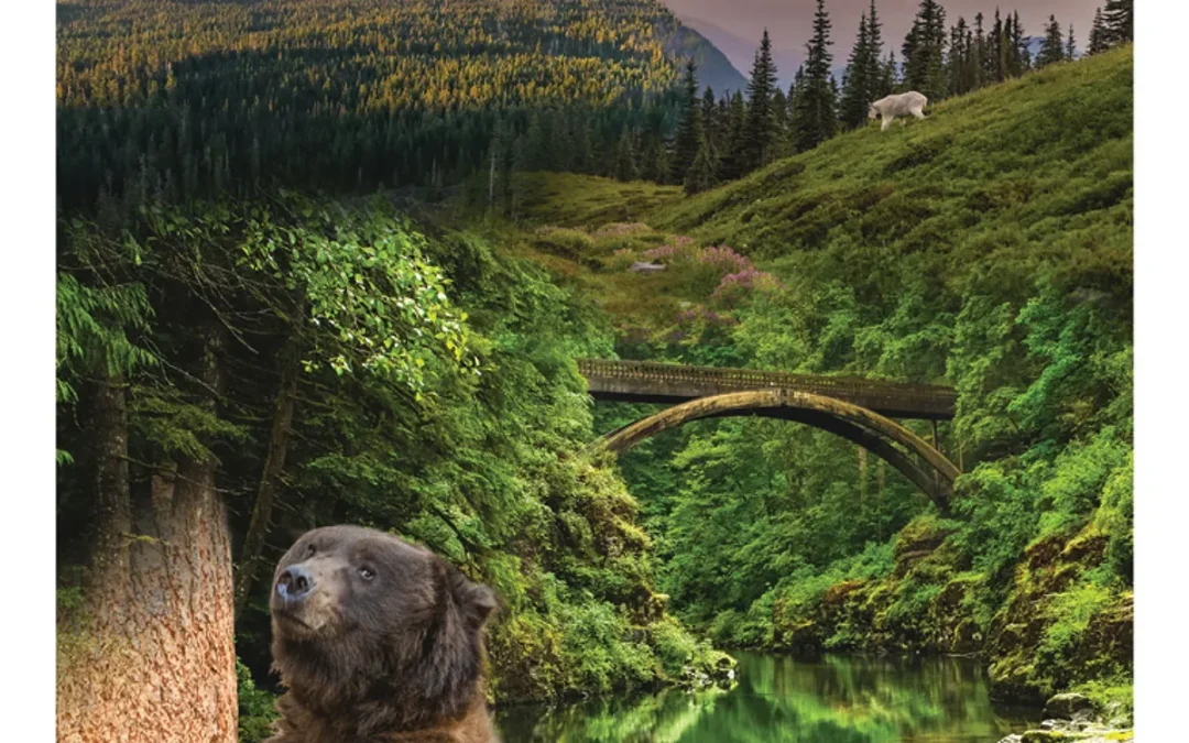 Visitor Guide for Southwest Washington 2025-2026